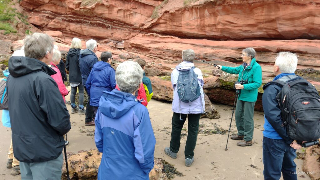 Geology Groups, Pease Bay, Jul-22