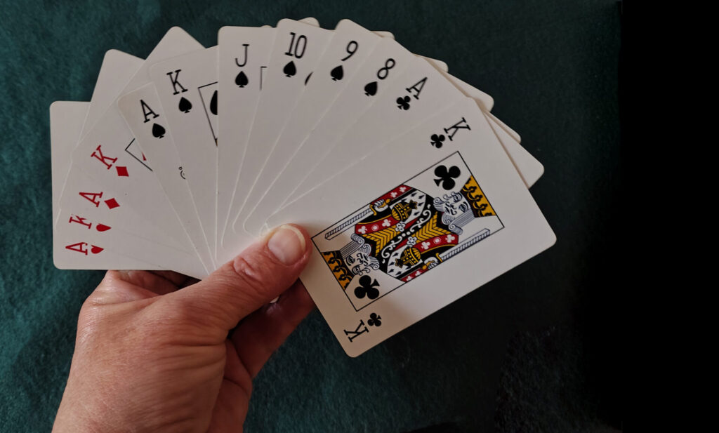 bridge winning hand - photo IG